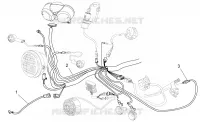 Vorder Elektrische Anlage