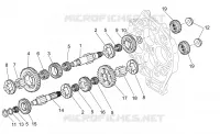 Festrad