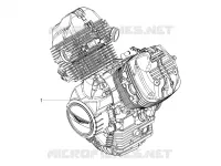 MOTOR - SCHALTHEBEL - RITZEL